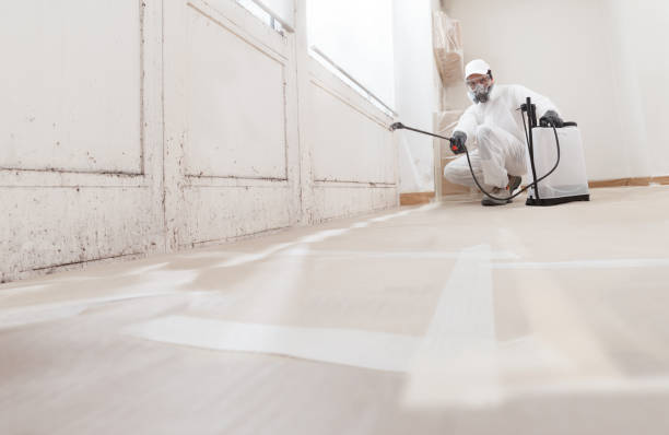 24/7 Emergency Crawl Space Mold Removal experts in West Point, GA